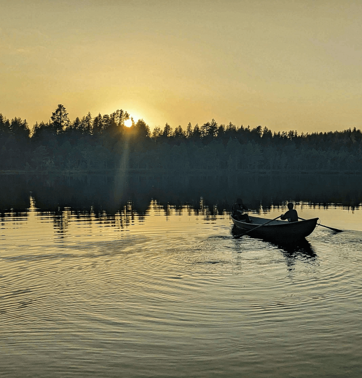 Activities during Cottage Holiday