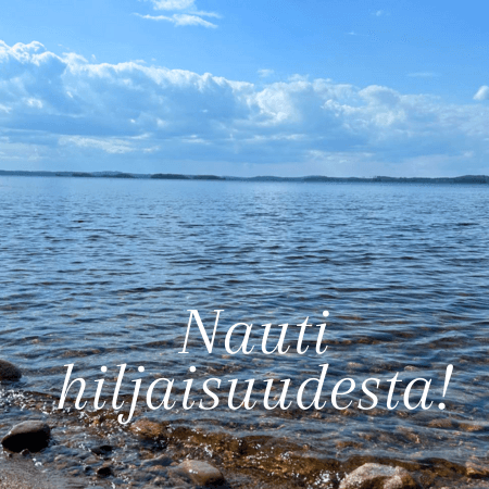 Nauti hiljaisuudesta! kesälomajärvi Saimaa – mökki Puumalassa mökki Saimaalla