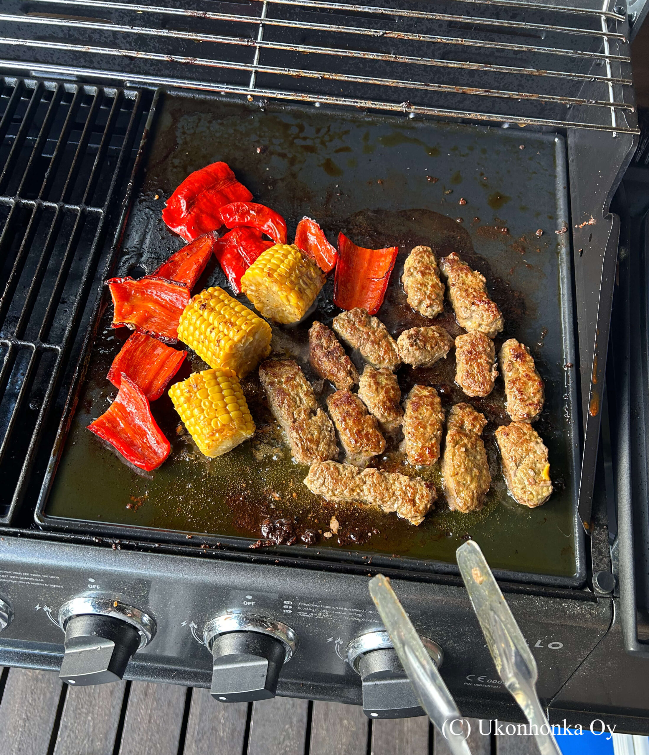 BBQ at the cottage Finland Puumala1765138258 (1)